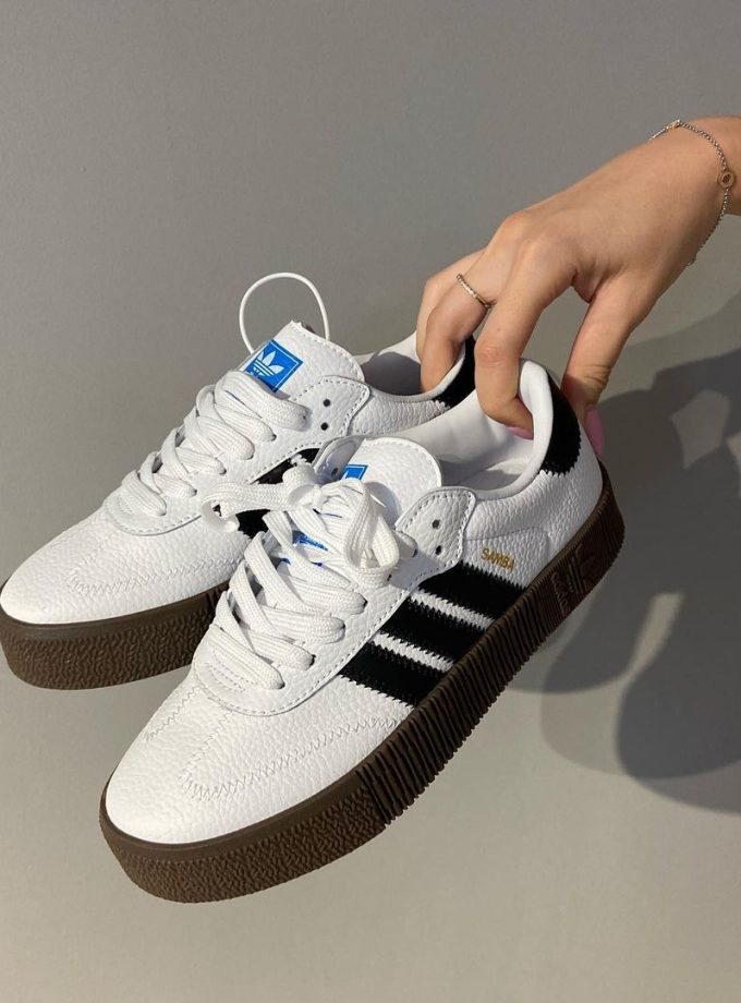 Sambarose "Cloud White"